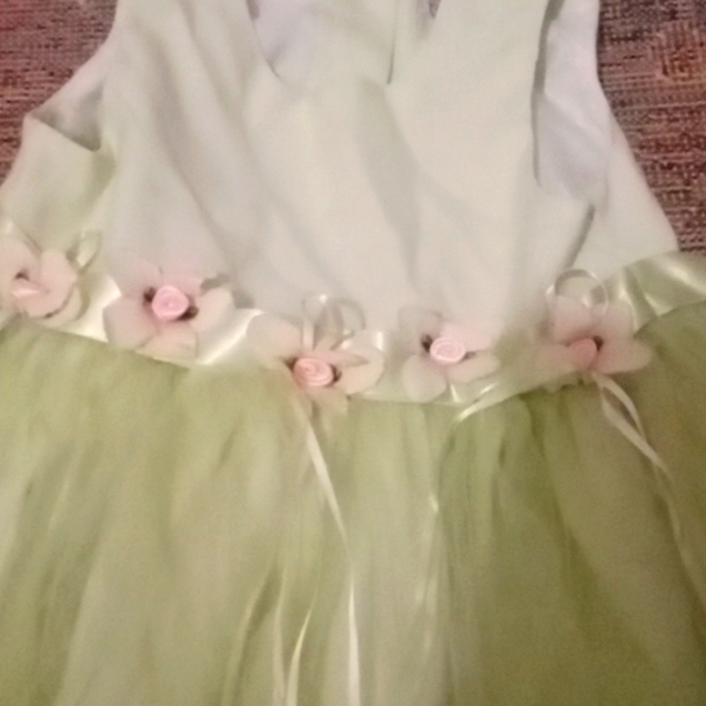 Rare editions Easter dress size 24mo green